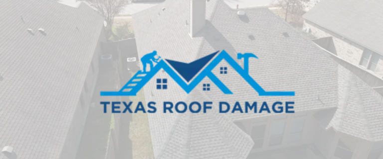 austin texes 768x320