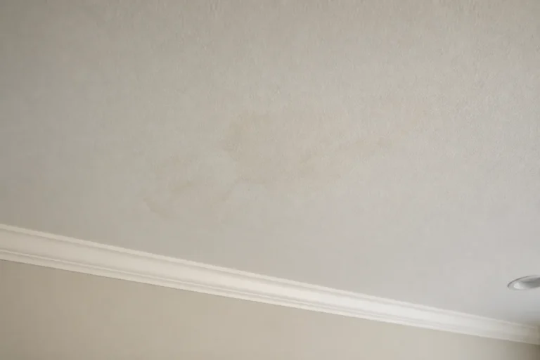 Featured roofing photo for signs of a roof leak austin on Best Roofers Network