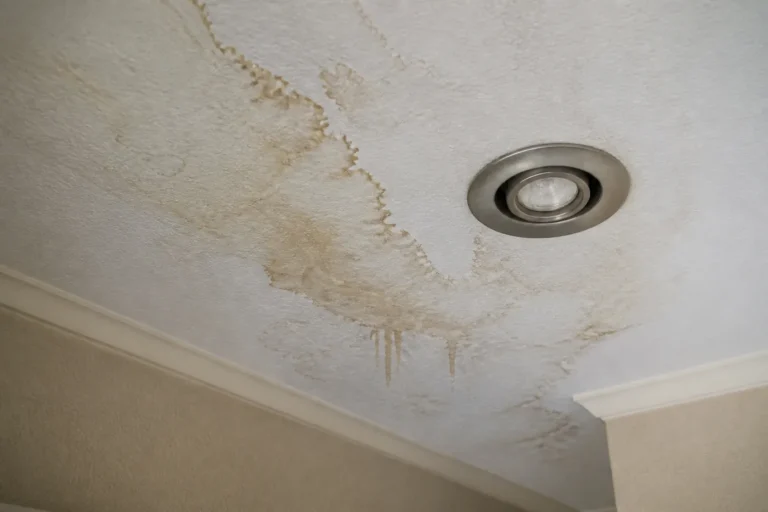 Featured roofing photo for signs of a roof leak dallas on Best Roofers Network