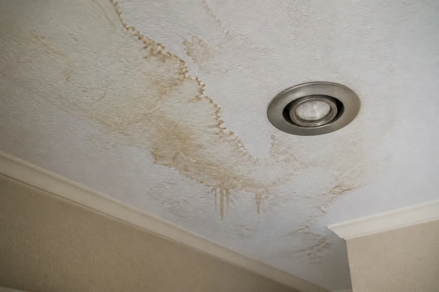 Featured roofing photo for signs of a roof leak dallas on Best Roofers Network